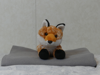 Unnamed 38 (Red Fox, Aurora)